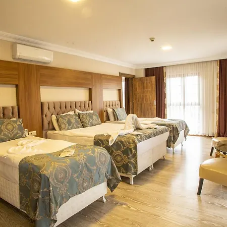 Отель Bursa Palas Hotel