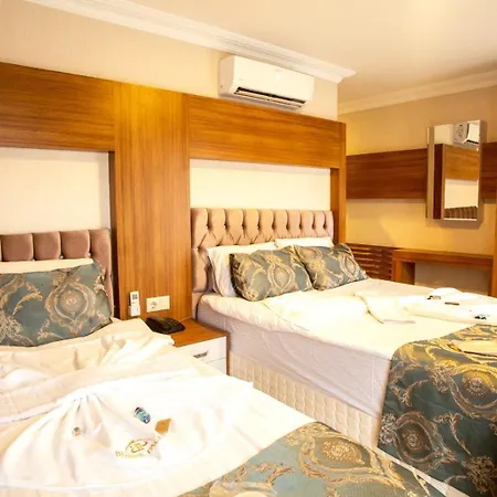 Bursa Palas Otel Otel 3*