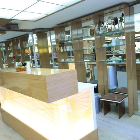 Bursa Palas Hotel Bursa