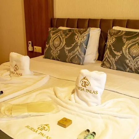 Bursa Palas Hotel 3*