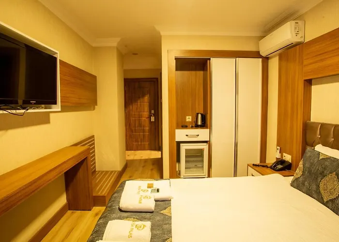 Отель Bursa Palas Hotel 3*