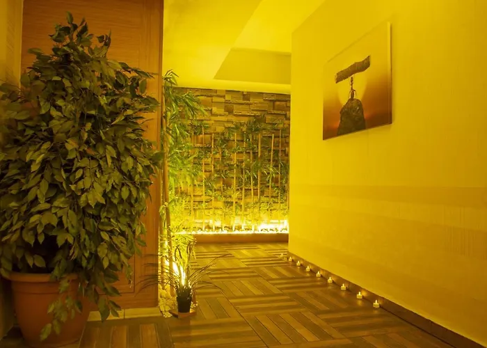 Отель Bursa Palas Hotel