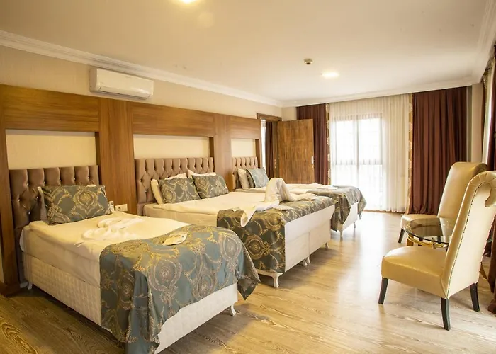 Отель Bursa Palas Hotel