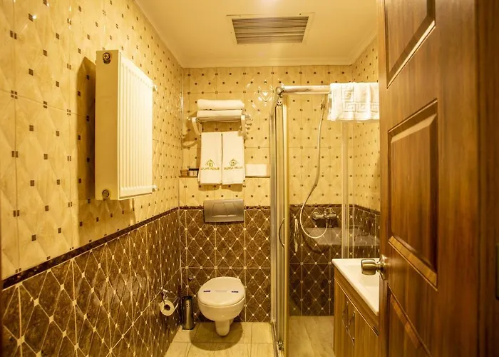 Отель Bursa Palas Hotel 3*