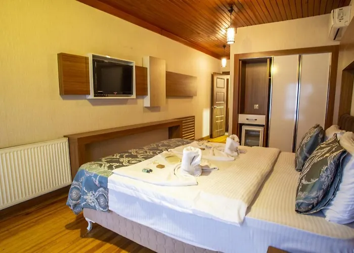 Отель Bursa Palas Hotel Бурса