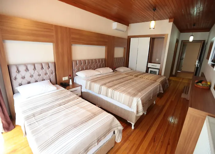 Bursa Palas Hotel Отель Бурса