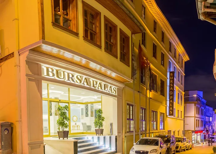 Отель Bursa Palas Hotel 3*
