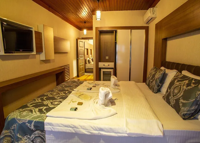 Отель Bursa Palas Hotel 3*