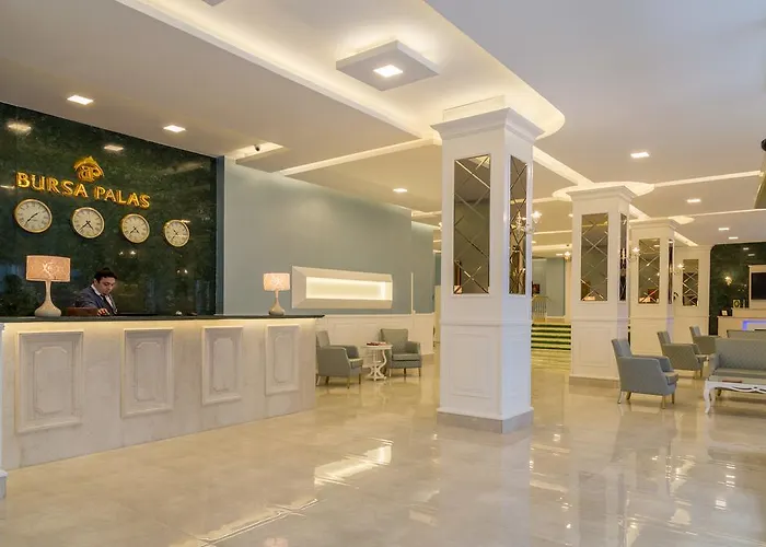 Отель Bursa Palas Hotel 3*