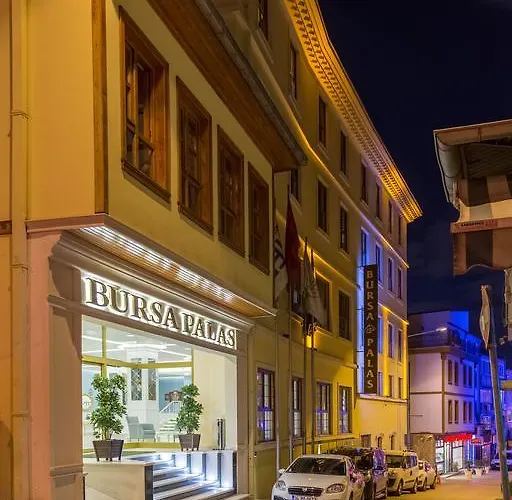 Отель Bursa Palas Hotel Бурса
