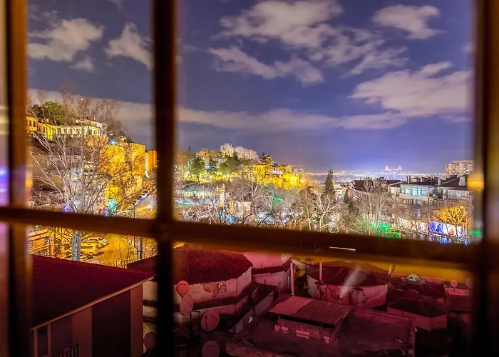 Отель Bursa Palas Hotel 3*