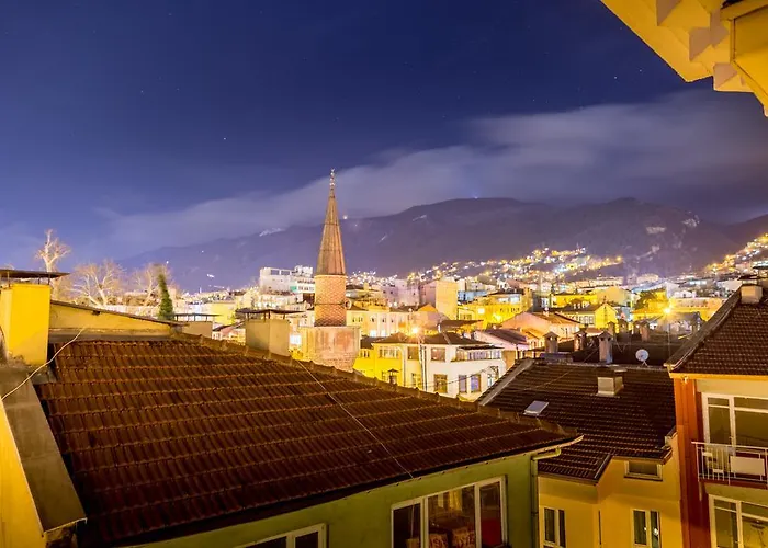 Отель Bursa Palas Hotel