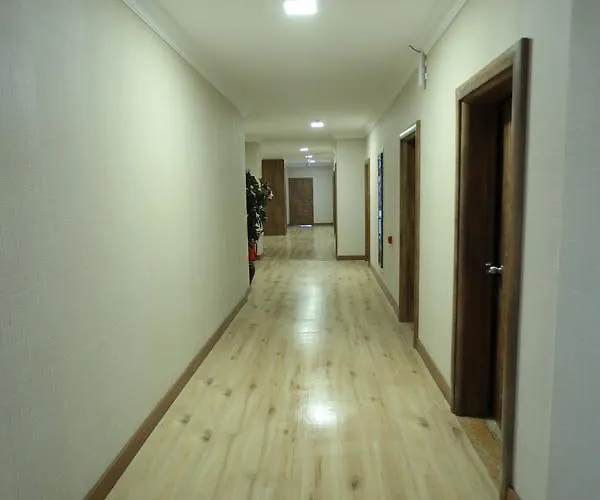 Отель Bursa Palas Hotel Бурса