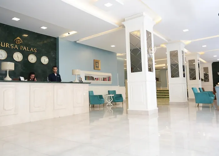 Отель Bursa Palas Hotel 3*