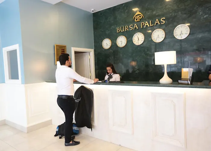 Отель Bursa Palas Hotel 3*