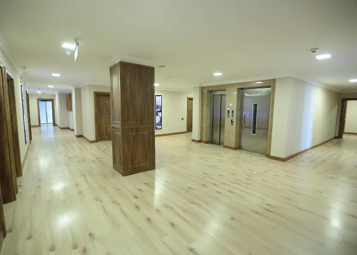 Отель Bursa Palas Hotel 3*